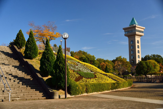 相模原麻溝公園